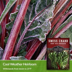 Survival Garden Seeds - Ruby Red Rhubarb Swiss Chard Seed for Planting - Packet with Instructions to Plant and Grow Delicious Leafy Greens in Your Home Vegetable Garden - Non-GMO Heirloom Variety