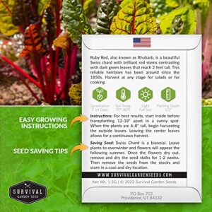 Survival Garden Seeds - Ruby Red Rhubarb Swiss Chard Seed for Planting - Packet with Instructions to Plant and Grow Delicious Leafy Greens in Your Home Vegetable Garden - Non-GMO Heirloom Variety