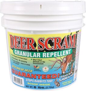 deer scram granular deer & rabbit 6 lbs