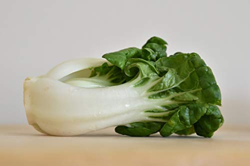 Canton Pak Choy - 880 Seeds, or 2 Grams - Chinese Cabbage - Microgreens or Garden - bnC55