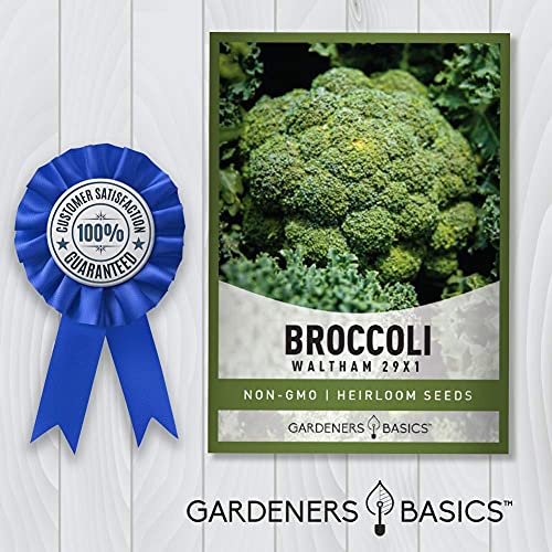 Broccoli Seeds for Planting is A Great Heirloom, Non-GMO Vegetable Variety- 1 Gram Seeds Great for Outdoor Spring, Winter, and Fall Gardening by Gardeners Basics