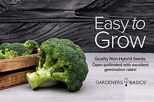 Broccoli Seeds for Planting is A Great Heirloom, Non-GMO Vegetable Variety- 1 Gram Seeds Great for Outdoor Spring, Winter, and Fall Gardening by Gardeners Basics