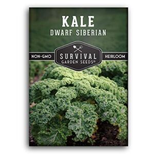 survival garden seeds – dwarf siberian kale seed for planting – packet with instructions to plant and grow ornamental or delicious edible kale in your home vegetable garden – non-gmo heirloom variety