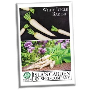 white icicle radish seeds for planting, 200+ heirloom seeds per packet, (isla’s garden seeds), non gmo seeds, botanical name: raphanus sativus, great home garden gift