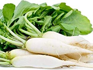 White Icicle Radish Seeds for Planting, 200+ Heirloom Seeds Per Packet, (Isla's Garden Seeds), Non GMO Seeds, Botanical Name: Raphanus sativus, Great Home Garden Gift