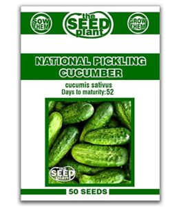national pickling cucumber seeds – 50 seeds non-gmo