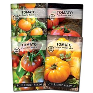 sow right seeds – colorful tomato seed collection for planting – yellow brandywine, kellogg’s breakfast, ponderosa pink, and cherokee purple – non-gmo heirloom varieties to plant home vegetable garden