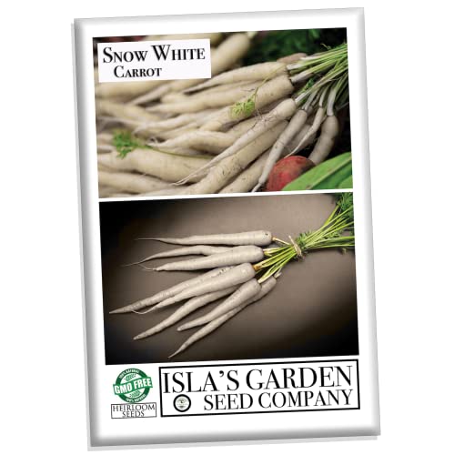 Snow White Carrot Seeds for Planting, 350+ Heirloom Seeds Per Packet, (Isla's Garden Seeds), Non GMO Seeds, Botanical Name: Daucus carota subsp. sativus, Great Home Garden Gift