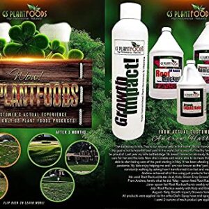 Organic Liquid Humic Acid with Fulvic Increased Nutrient Uptake for Turf, Garden and Soil Conditioning 1 Gallon Concentrate (Packaging May Vary)