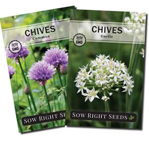 sow right seeds – chive seed collection for planting – grow both common chives and garlic chives for your kitchen – non-gmo heirloom seeds with instructions to plant, indoor or outdoor; great garden