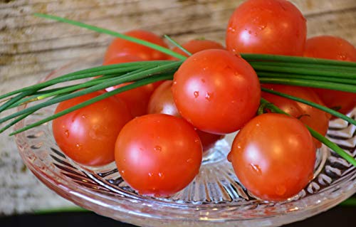 Sow Right Seeds - Chive Seed Collection for Planting - Grow Both Common Chives and Garlic Chives for Your Kitchen - Non-GMO Heirloom Seeds with Instructions to Plant, Indoor or Outdoor; Great Garden