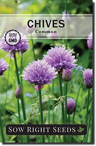 Sow Right Seeds - Chive Seed Collection for Planting - Grow Both Common Chives and Garlic Chives for Your Kitchen - Non-GMO Heirloom Seeds with Instructions to Plant, Indoor or Outdoor; Great Garden