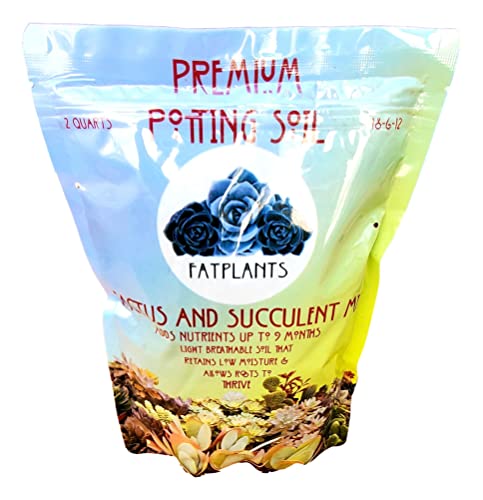 Fat Plants San Diego Premium Cacti and Succulent Potting Mix Soil - for Cactus Palm Tree Citrus Plant Grown in Gardening Containers - Indoors & Outdoors Use - with Natural Food/Fertilizer