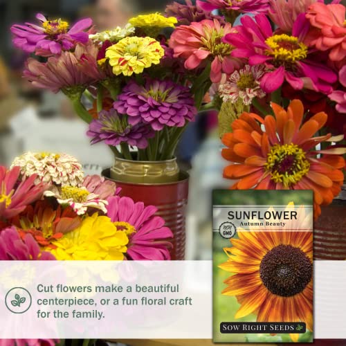 Sow Right Seeds - Autumn Beauty Sunflower Seeds for Planting, Beautiful Giant Flower to Plant, Non-GMO Heirloom Seed, Wonderful Gardening Gift (1)