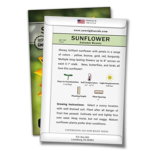 Sow Right Seeds - Autumn Beauty Sunflower Seeds for Planting, Beautiful Giant Flower to Plant, Non-GMO Heirloom Seed, Wonderful Gardening Gift (1)