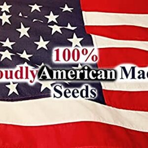 30 Assorted Packages of Vegetable Seeds, 15+ Varieties, All Seeds are Heirloom, 100% Non-GE
