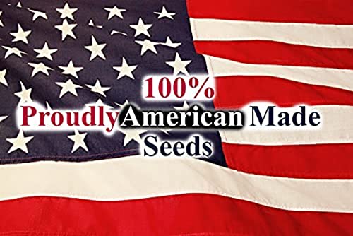 30 Assorted Packages of Vegetable Seeds, 15+ Varieties, All Seeds are Heirloom, 100% Non-GE