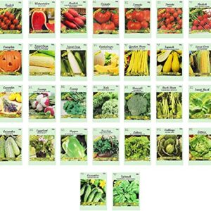 30 Assorted Packages of Vegetable Seeds, 15+ Varieties, All Seeds are Heirloom, 100% Non-GE