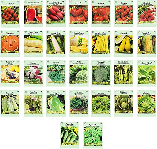 30 Assorted Packages of Vegetable Seeds, 15+ Varieties, All Seeds are Heirloom, 100% Non-GE