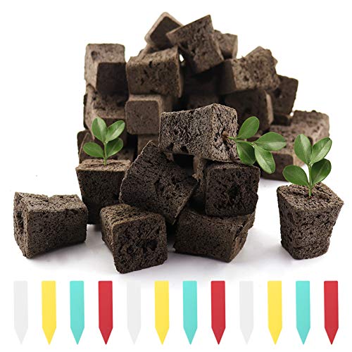 YBB 50 Pcs Seed Starter Plugs, Rapid Root Plugs Organic Plant Starters Sponges Hydroponics Supplies with 60 Pcs Labels