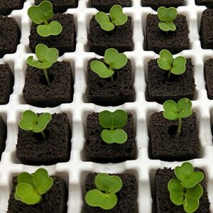 YBB 50 Pcs Seed Starter Plugs, Rapid Root Plugs Organic Plant Starters Sponges Hydroponics Supplies with 60 Pcs Labels