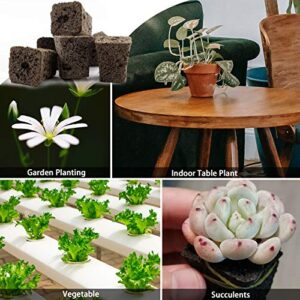 YBB 50 Pcs Seed Starter Plugs, Rapid Root Plugs Organic Plant Starters Sponges Hydroponics Supplies with 60 Pcs Labels