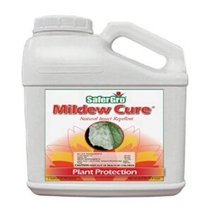 safergro 4237glcs mildew cure mildewcide