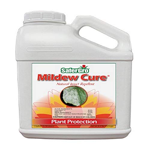 Safergro 4237GLCS Mildew Cure Mildewcide