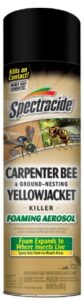 spectracide carpenter bee and ground nesting yellow jacket foaming aerosol, 16-ounce