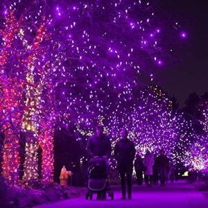 Dazzle Bright 240 LED Halloween String Lights, 78 FT Connectable Waterproof Fairy Lights with 8 Modes for Indoor Outdoor Party Yard Garden Christmas Decorations (Purple)