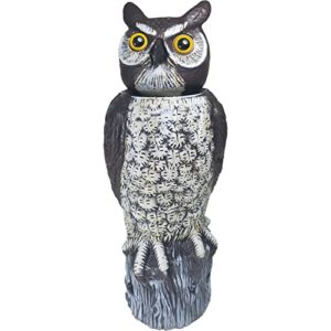 dalen sol-r action solar fake owl decoy to scare birds away from gardens, rooftops, and patios – scarecrow provides chemical-free pest control – safe and humane, 18″ 360º rotating head