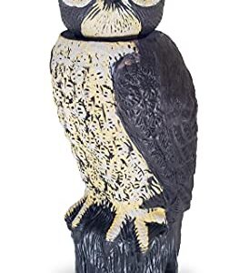 Dalen SOL-R Action Solar Fake Owl Decoy to Scare Birds Away from Gardens, Rooftops, and Patios - Scarecrow Provides Chemical-Free Pest Control - Safe and Humane, 18" 360º Rotating Head