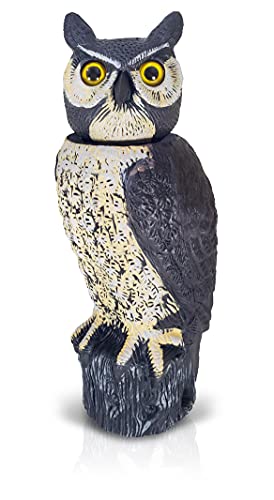 Dalen SOL-R Action Solar Fake Owl Decoy to Scare Birds Away from Gardens, Rooftops, and Patios - Scarecrow Provides Chemical-Free Pest Control - Safe and Humane, 18" 360º Rotating Head