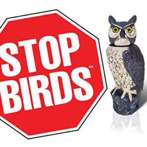 Dalen SOL-R Action Solar Fake Owl Decoy to Scare Birds Away from Gardens, Rooftops, and Patios - Scarecrow Provides Chemical-Free Pest Control - Safe and Humane, 18" 360º Rotating Head