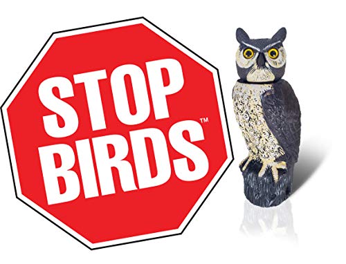 Dalen SOL-R Action Solar Fake Owl Decoy to Scare Birds Away from Gardens, Rooftops, and Patios - Scarecrow Provides Chemical-Free Pest Control - Safe and Humane, 18" 360º Rotating Head