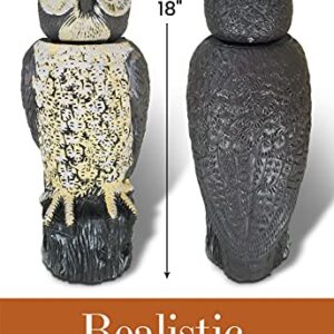 Dalen SOL-R Action Solar Fake Owl Decoy to Scare Birds Away from Gardens, Rooftops, and Patios - Scarecrow Provides Chemical-Free Pest Control - Safe and Humane, 18" 360º Rotating Head