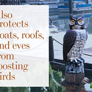 Dalen SOL-R Action Solar Fake Owl Decoy to Scare Birds Away from Gardens, Rooftops, and Patios - Scarecrow Provides Chemical-Free Pest Control - Safe and Humane, 18" 360º Rotating Head