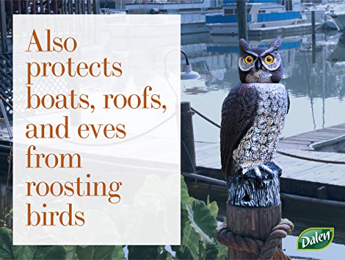 Dalen SOL-R Action Solar Fake Owl Decoy to Scare Birds Away from Gardens, Rooftops, and Patios - Scarecrow Provides Chemical-Free Pest Control - Safe and Humane, 18" 360º Rotating Head