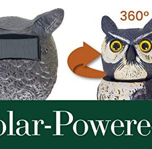 Dalen SOL-R Action Solar Fake Owl Decoy to Scare Birds Away from Gardens, Rooftops, and Patios - Scarecrow Provides Chemical-Free Pest Control - Safe and Humane, 18" 360º Rotating Head