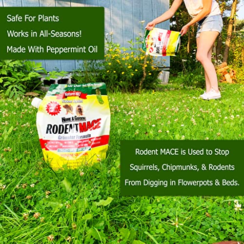 Nature’s MACE Rodent Repellent 2.5lb / Covers 440 Sq. Ft. / Repel Mice & Rats / Keep Mice, Rats & Rodents Out of Home, Garage, Attic, and Crawl Space / Safe to use Around Children & Pets