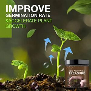 Soil Activated Treasure-You Will Be Amazed! Premium Soil Activated Treasure, Soil Plant Flower Fertilizer, Soil Activator for Raised Garden Beds, Potting Mix, Lawns and Gardens (2pcs)