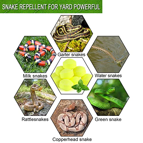 YUEQINGLONG 10 Pack Snake Away Repellent for Outdoors, Snake Be Gone for Yard Powerful, Pet Safe Balls for Lawn Garden Camping Fishing Home to Repels Snakes and Other Pests (yellow-10)