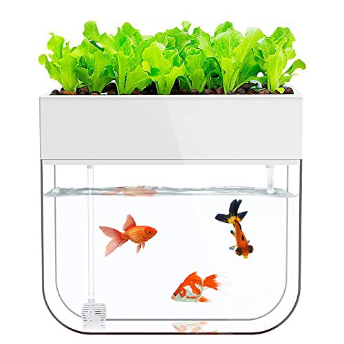 Hydroponic Garden Aquaponic Fish Tank Plants Growing System Self-Cleaning Seed Sprouter Tray