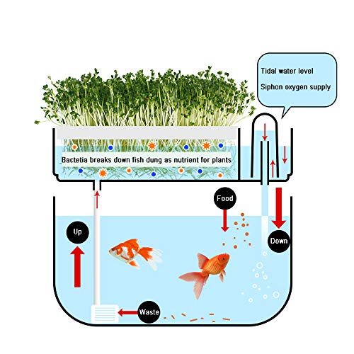 Hydroponic Garden Aquaponic Fish Tank Plants Growing System Self-Cleaning Seed Sprouter Tray