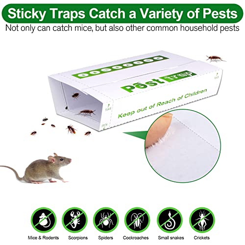 Protecker Mouse Trap,Pest Control Traps,Professional Strength Mouse Glue Traps ,Mice Rat Moths Bugs Insects Bed Bugs Spiders Cockroaches Snake Glue Traps for House Indoor Outdoor ,Non-Toxic&Pet Safe
