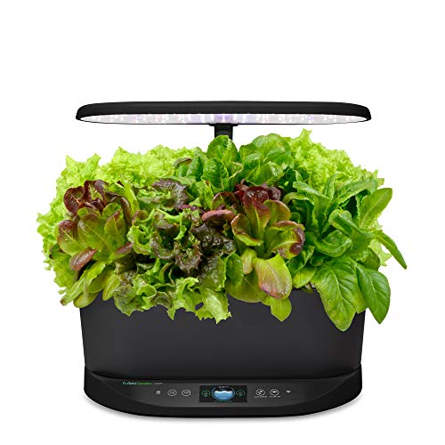 AeroGarden Bounty - Indoor Garden with LED Grow Light, WiFi and Alexa Compatible, Black & Heirloom Salad Greens Seed Pod Kit (9-pod)