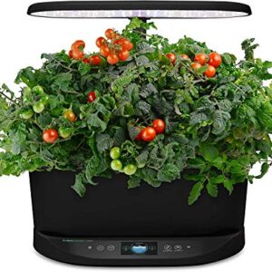 AeroGarden Bounty - Indoor Garden with LED Grow Light, WiFi and Alexa Compatible, Black & Heirloom Salad Greens Seed Pod Kit (9-pod)