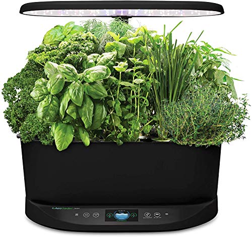 AeroGarden Bounty - Indoor Garden with LED Grow Light, WiFi and Alexa Compatible, Black & Heirloom Salad Greens Seed Pod Kit (9-pod)