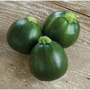 eight ball squash seeds (20+ seeds) | non gmo | vegetable fruit herb flower seeds for planting | home garden greenhouse pack