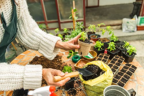 Indoor Live Herb Garden & Plant Seed Starter Kit - DIY Transplanting Kit for Beginners & Kids | Includes Seeds, Soil, Pots, Markers, Instructions, & Grinder | Parsley, Basil, Cilantro, & Chive Seeds